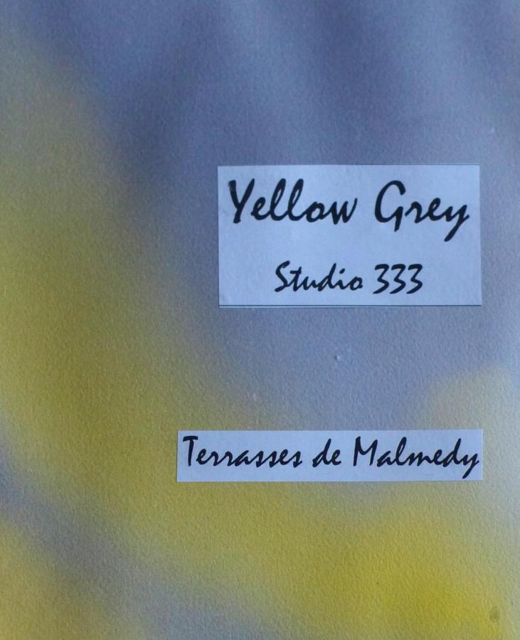 Les Terrasses De Malmedy Studio 333 Yellow Grey 외부 사진